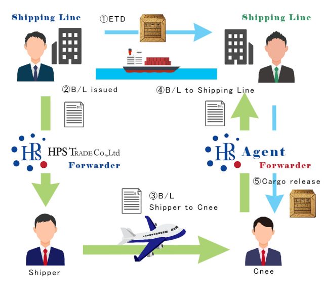 What is B/L in Logistics? Explained B/L role and flow with illustrations | Marine Transport