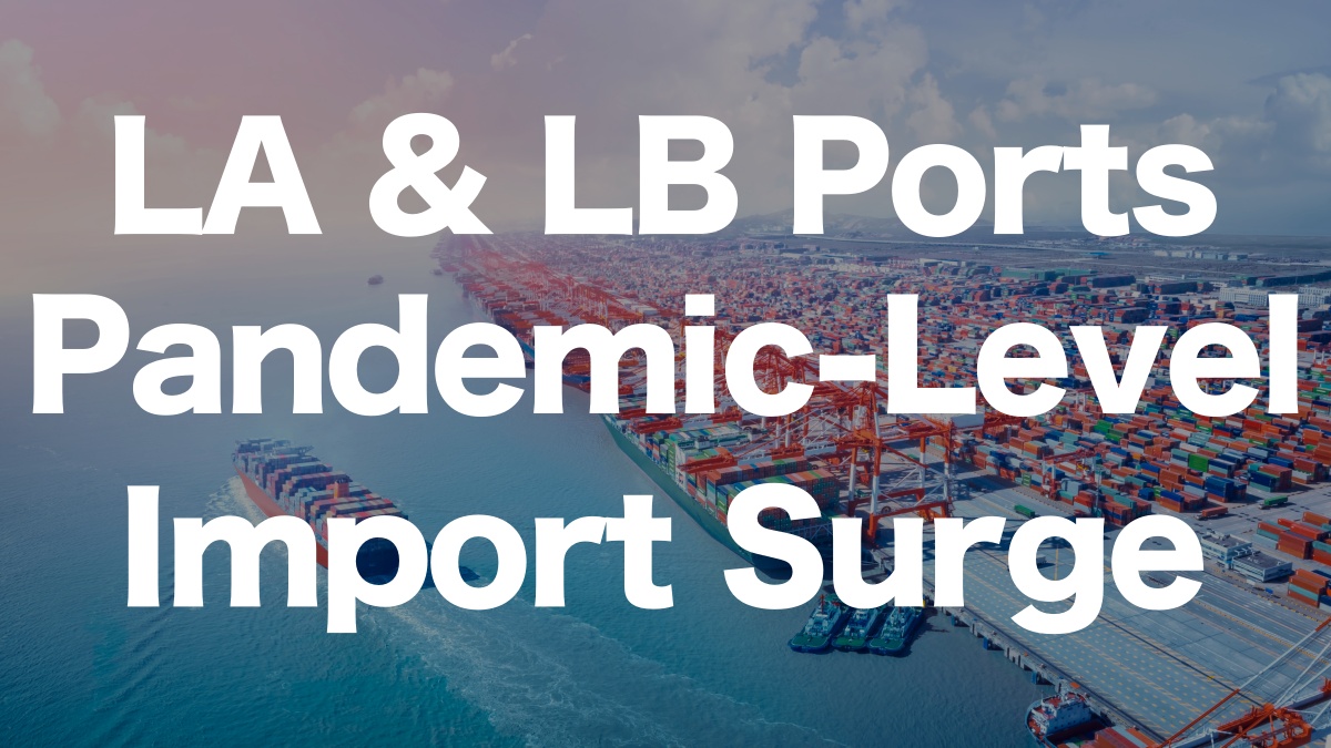 LA and LB Ports Face Import Volumes Comparable to the Pandemic! East Coast Strikes Also Impacting | IINO san's Logistics News