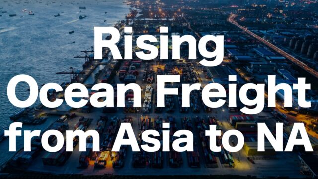 Rising Sea Freight from Asia to North America Again! Impact of Strikes and Presidential Elections | IINO san's Logistics News